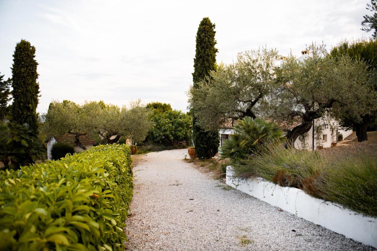 Casale Delle Lavande Città Sant’Angelo Kültér fotó