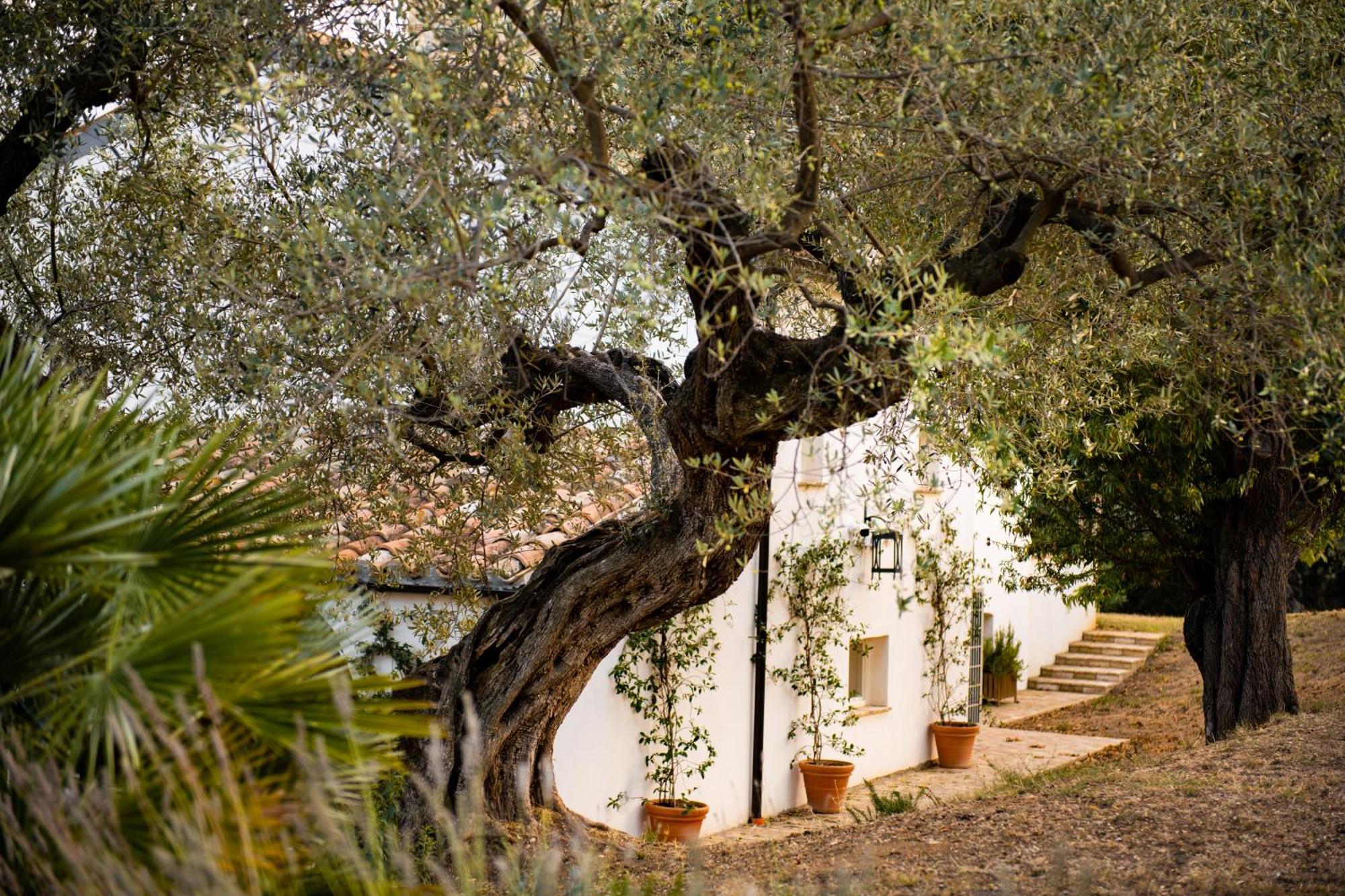 Casale Delle Lavande Città Sant’Angelo Kültér fotó